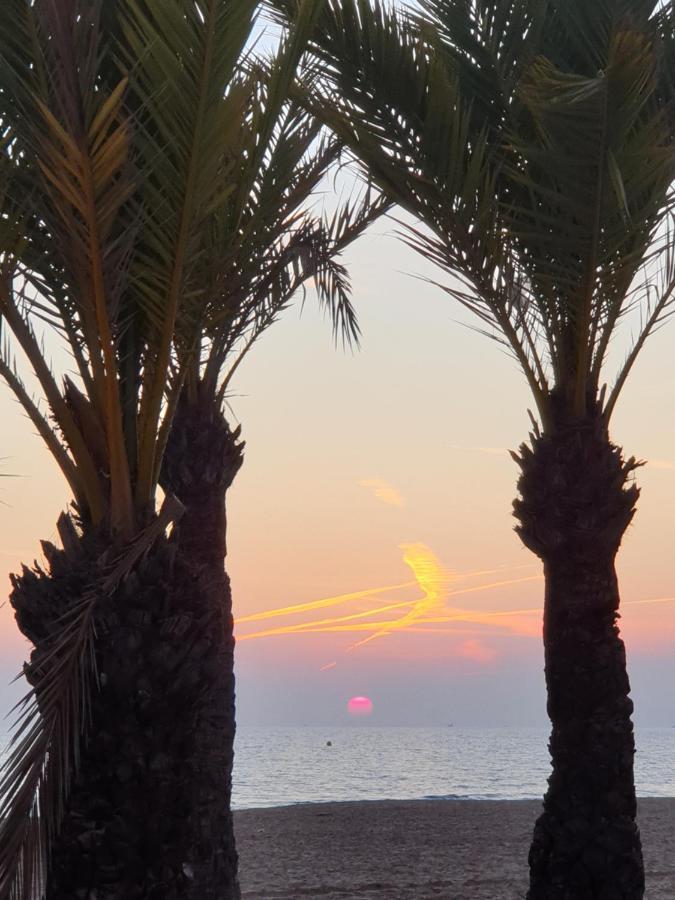 Edificio Cadiz Benidorm Lejlighed Eksteriør billede